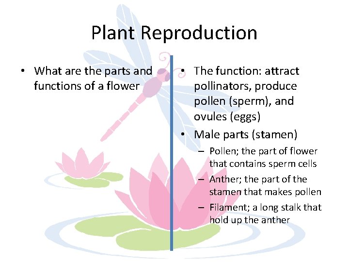 Plant Reproduction • What are the parts and functions of a flower • The