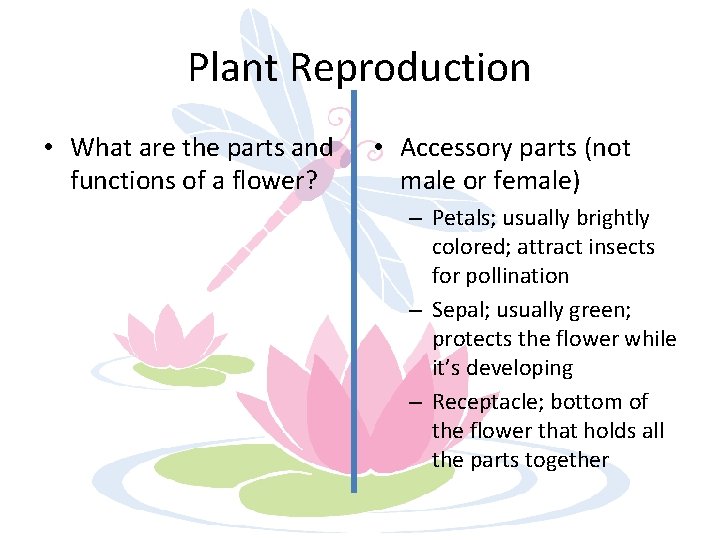 Plant Reproduction • What are the parts and functions of a flower? • Accessory