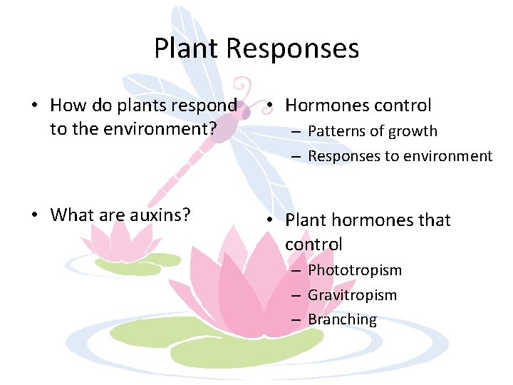 Plant Responses • How do plants respond to the environment? • Hormones control •