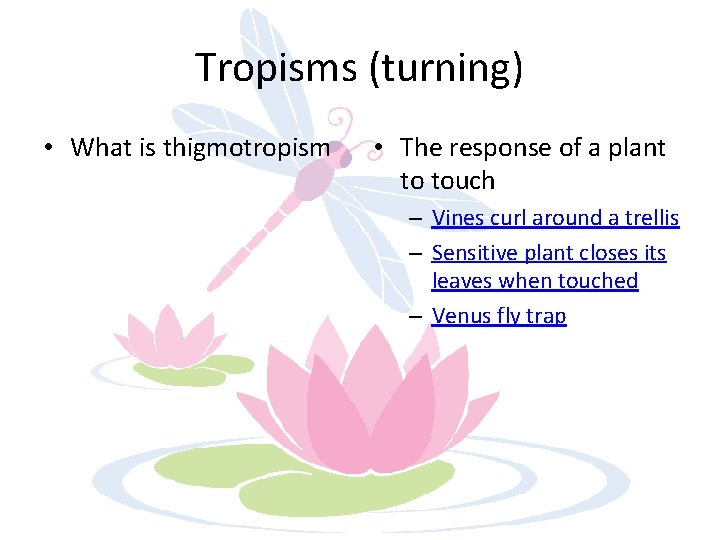 Tropisms (turning) • What is thigmotropism • The response of a plant to touch