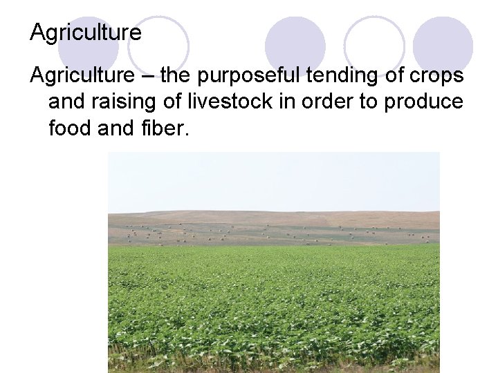 Agriculture – the purposeful tending of crops and raising of livestock in order to