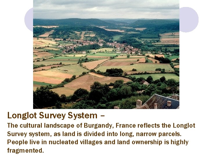 Longlot Survey System – The cultural landscape of Burgandy, France reflects the Longlot Survey