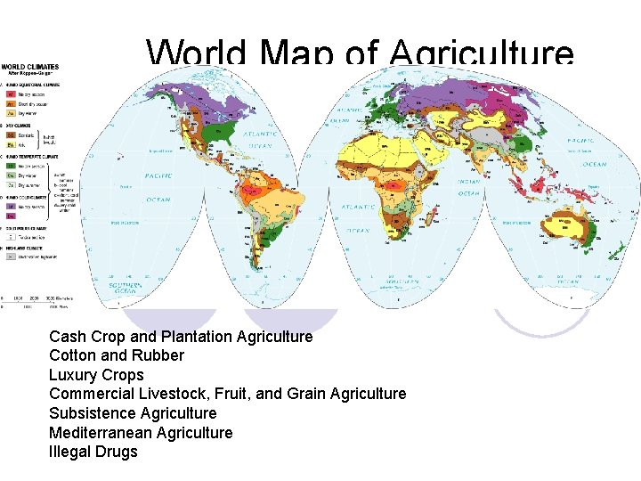 World Map of Agriculture Cash Crop and Plantation Agriculture Cotton and Rubber Luxury Crops