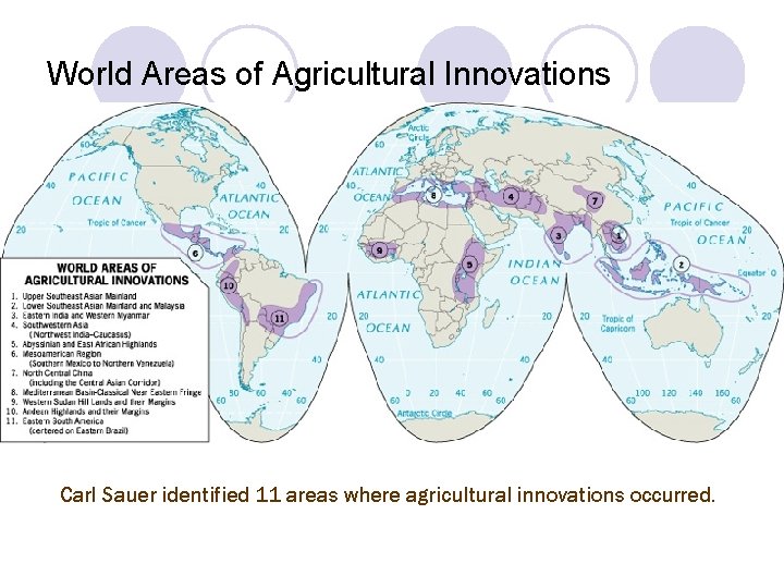 World Areas of Agricultural Innovations Carl Sauer identified 11 areas where agricultural innovations occurred.