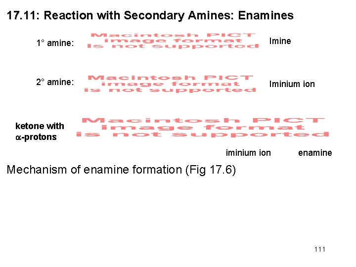 17. 11: Reaction with Secondary Amines: Enamines 1° amine: Imine 2° amine: Iminium ion