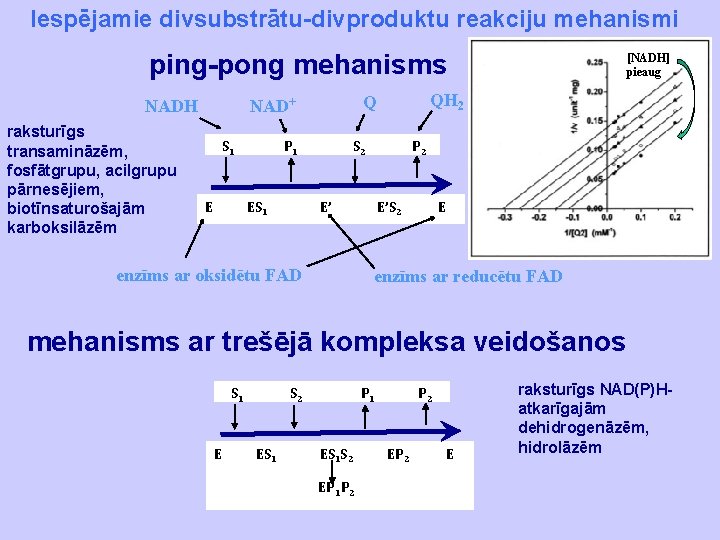 Iespējamie divsubstrātu-divproduktu reakciju mehanismi ping-pong mehanisms raksturīgs transamināzēm, fosfātgrupu, acilgrupu pārnesējiem, biotīnsaturošajām karboksilāzēm S