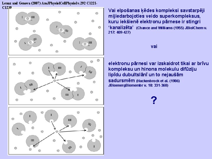 Lenaz and Genova (2007) Am. JPhysiol. Cell. Physiol v. 292 C 1221 C 1239