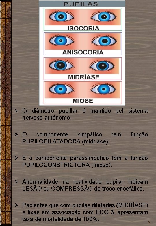 Ø O diâmetro pupillar é mantido pel sistema nervoso autônomo. Ø O componente simpático Ø O diâmetro pupillar é mantido pel sistema nervoso autônomo. Ø O componente simpático