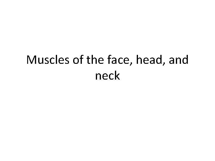 Muscles of the face, head, and neck 