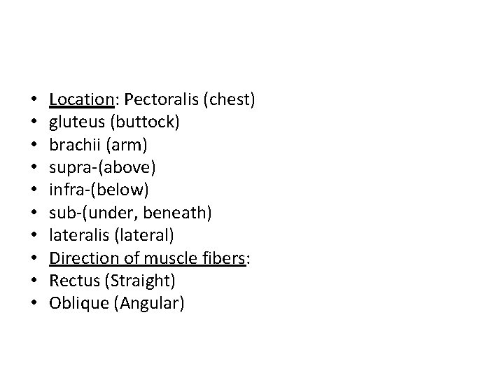  • • • Location: Pectoralis (chest) gluteus (buttock) brachii (arm) supra-(above) infra-(below) sub-(under,