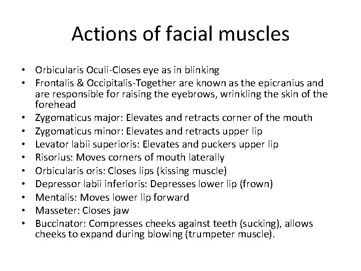 Actions of facial muscles • Orbicularis Oculi-Closes eye as in blinking • Frontalis &