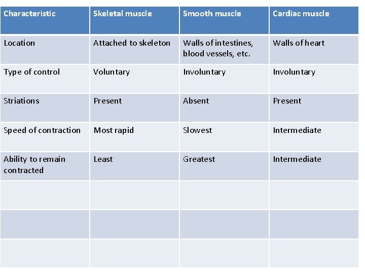 Characteristic Skeletal muscle Smooth muscle Cardiac muscle Location Attached to skeleton Walls of intestines,