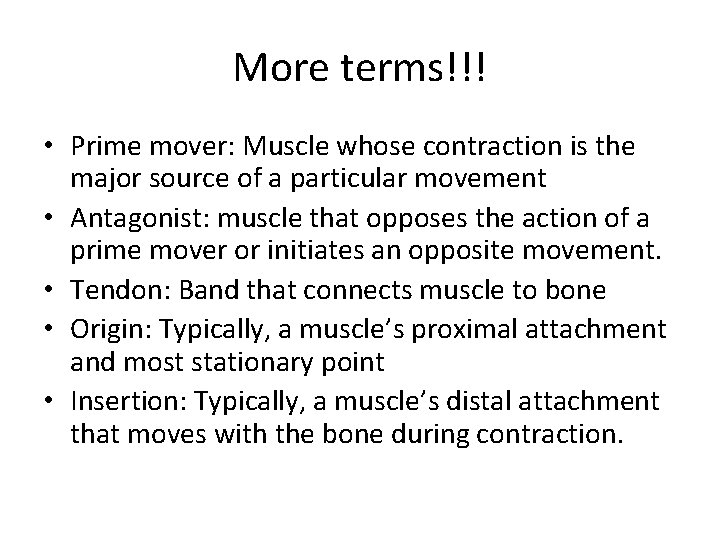 More terms!!! • Prime mover: Muscle whose contraction is the major source of a