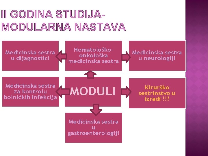 II GODINA STUDIJAMODULARNA NASTAVA 