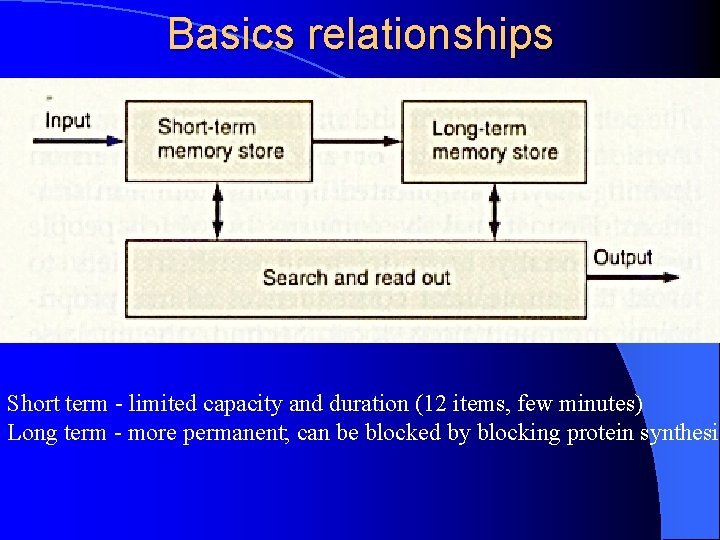 Basics relationships Short term - limited capacity and duration (12 items, few minutes) Long