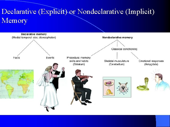 Declarative (Explicit) or Nondeclarative (Implicit) Memory 