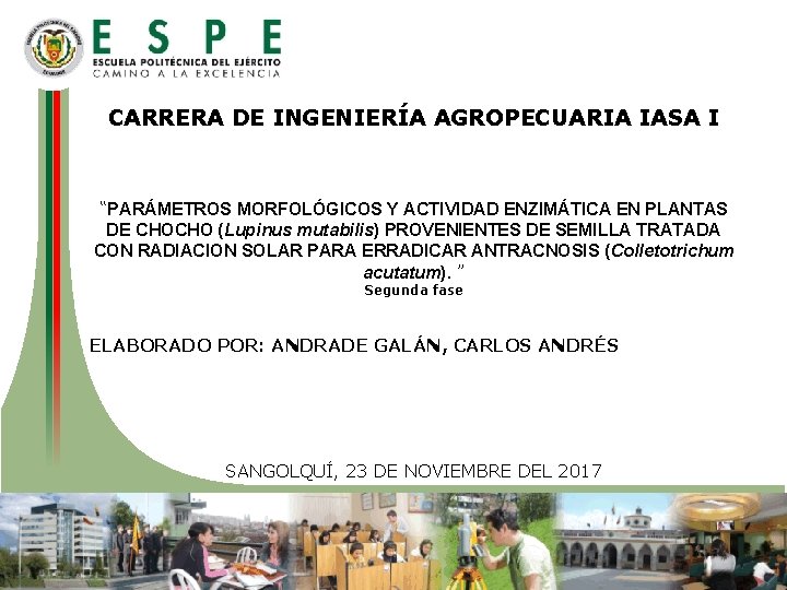 CARRERA DE INGENIERÍA AGROPECUARIA IASA I “PARÁMETROS MORFOLÓGICOS Y ACTIVIDAD ENZIMÁTICA EN PLANTAS DE