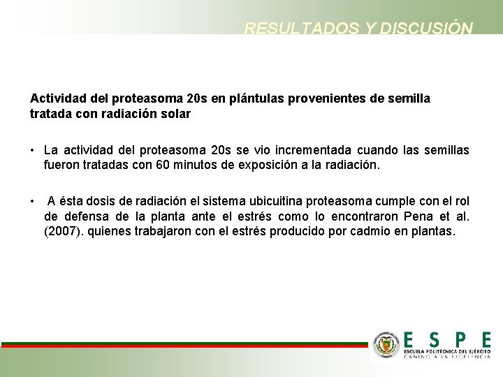 RESULTADOS Y DISCUSIÓN Actividad del proteasoma 20 s en plántulas provenientes de semilla tratada