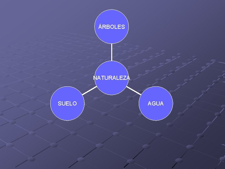 ÁRBOLES NATURALEZA SUELO AGUA ÁRBOLES NATURALEZA SUELO AGUA