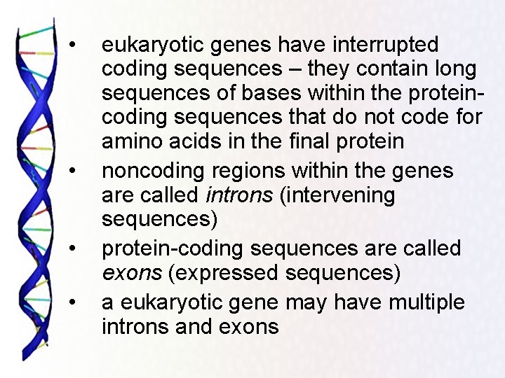  • • eukaryotic genes have interrupted coding sequences – they contain long sequences