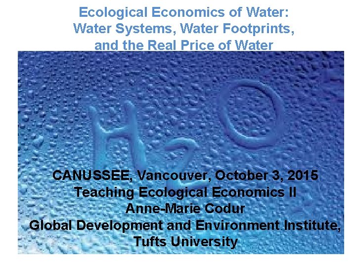 Ecological Economics of Water: Water Systems, Water Footprints, and the Real Price of Water