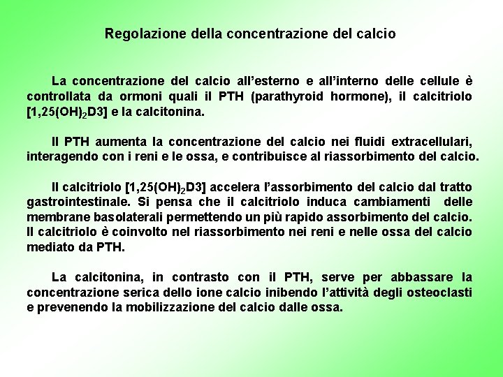 Regolazione della concentrazione del calcio La concentrazione del calcio all’esterno e all’interno delle cellule