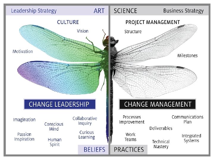 © 2014 Center for Creative Leadership. All rights reserved. 