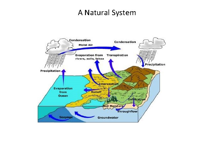 A Natural System 
