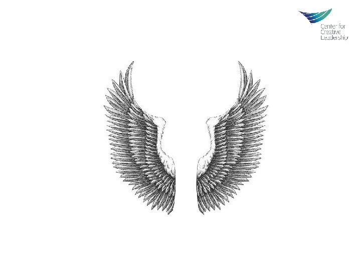 © 2014 Center for Creative Leadership. All rights reserved. 