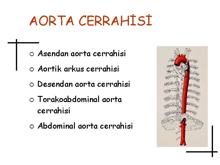 AORTA CERRAHİSİ ¢ Asendan aorta cerrahisi ¢ Aortik arkus cerrahisi ¢ Desendan aorta cerrahisi