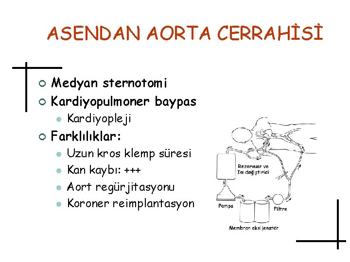 ASENDAN AORTA CERRAHİSİ ¢ ¢ Medyan sternotomi Kardiyopulmoner baypas l ¢ Kardiyopleji Farklılıklar: l