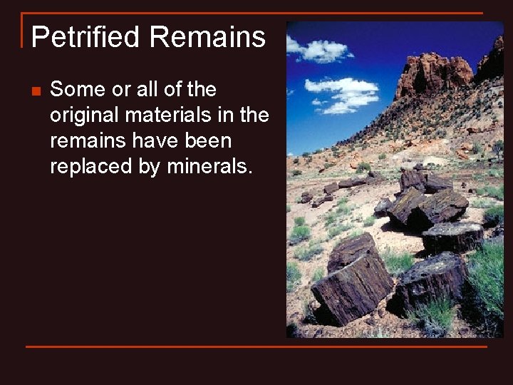 Petrified Remains n Some or all of the original materials in the remains have