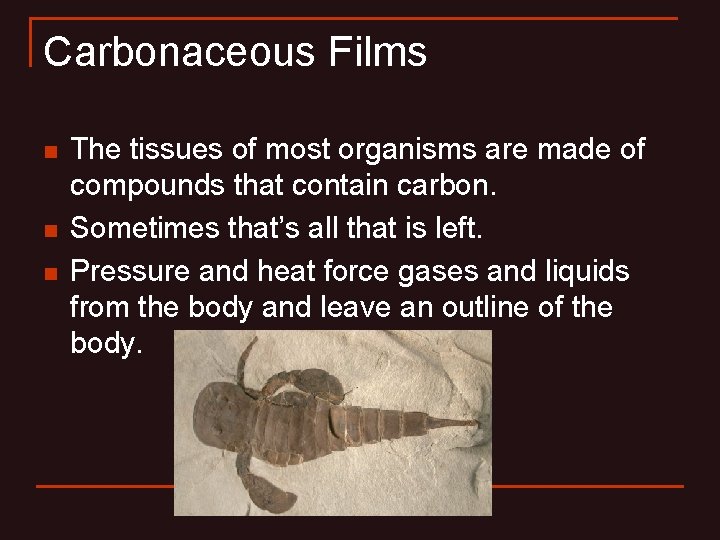 Carbonaceous Films n n n The tissues of most organisms are made of compounds