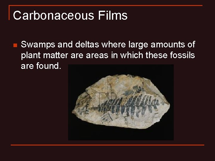 Carbonaceous Films n Swamps and deltas where large amounts of plant matter areas in