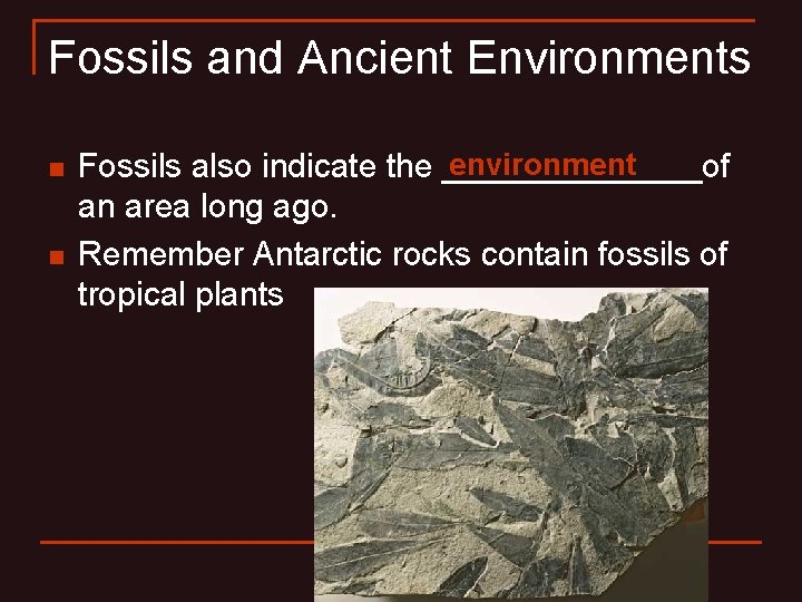 Fossils and Ancient Environments n n environment Fossils also indicate the _______of an area