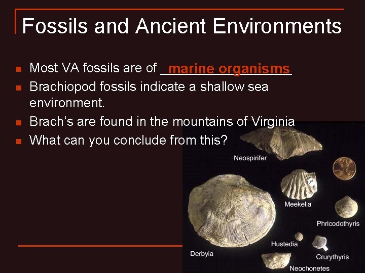 Fossils and Ancient Environments n n Most VA fossils are of _________ marine organisms