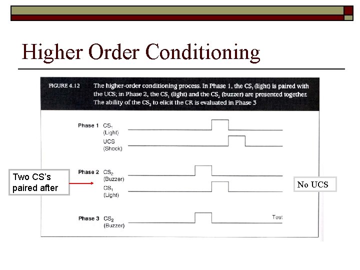 Higher Order Conditioning Two CS’s paired after No UCS 