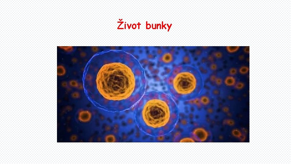 Život bunky 