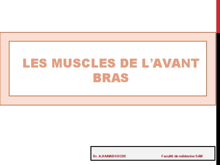 LES MUSCLES DE L’AVANT BRAS Dr. A. HAMADOUCHE Faculté de médecine Sétif 