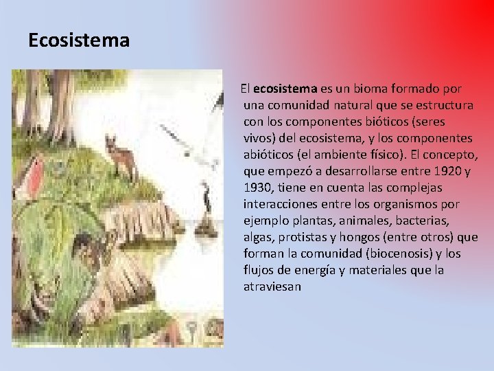 Ecosistema El ecosistema es un bioma formado por una comunidad natural que se estructura
