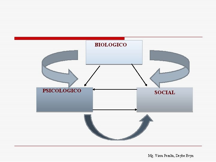 BIOLOGICO PSICOLOGICO SOCIAL Mg. Viera Peralta, Deybe Evyn 