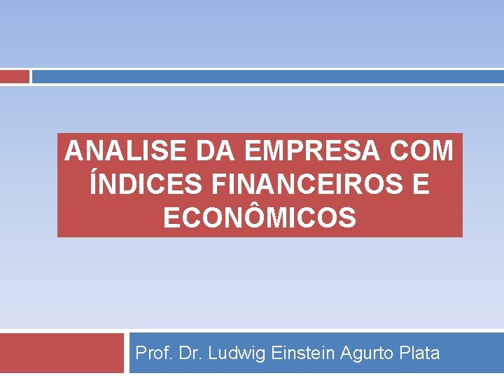 ANALISE DA EMPRESA COM ÍNDICES FINANCEIROS E ECONÔMICOS Prof. Dr. Ludwig Einstein Agurto Plata