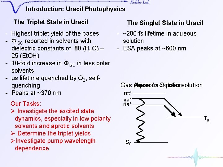 Introduction: Uracil Photophysics The Triplet State in Uracil - Highest triplet yield of the