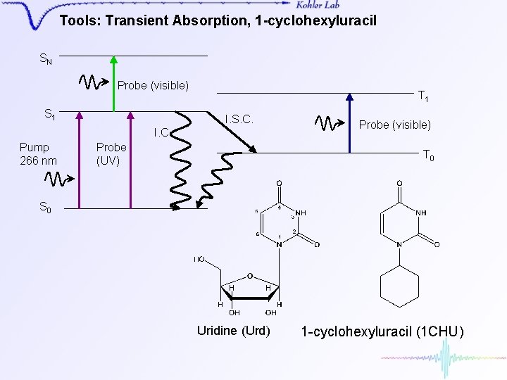 Tools: Transient Absorption, 1 -cyclohexyluracil SN Probe (visible) S 1 T 1 I. S.