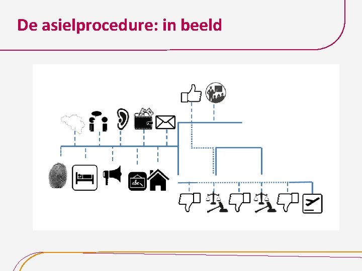 De asielprocedure: in beeld 