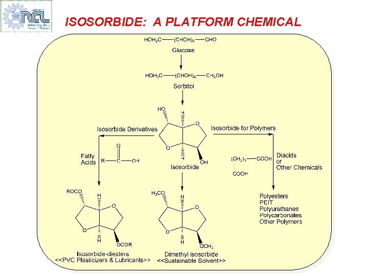 ISOSORBIDE: A PLATFORM CHEMICAL 