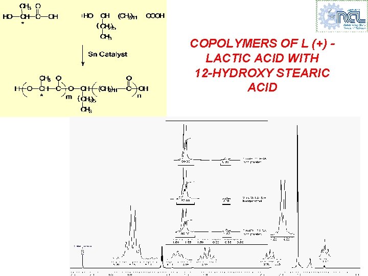 COPOLYMERS OF L (+) LACTIC ACID WITH 12 -HYDROXY STEARIC ACID 