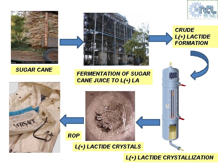 CRUDE L(+) LACTIDE FORMATION SUGAR CANE FERMENTATION OF SUGAR CANE JUICE TO L(+) LA