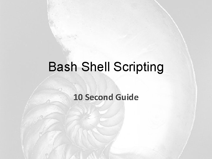 Bash Shell Scripting 10 Second Guide 