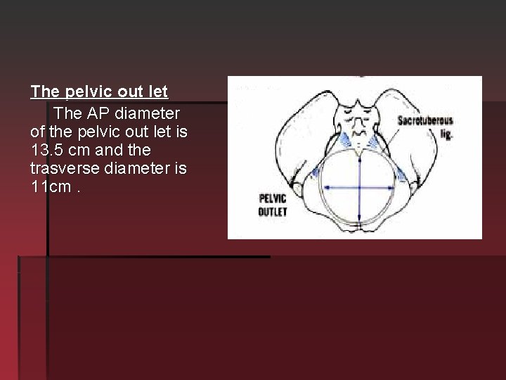 The pelvic out let The AP diameter of the pelvic out let is 13.